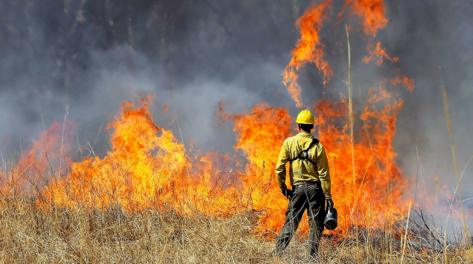 man monitors controlled burn